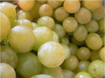 Hoe te druivenpitten extract gebruiken om hoge bloeddruk te beheren. Druivenpit extract wordt als veilig beschouwd.